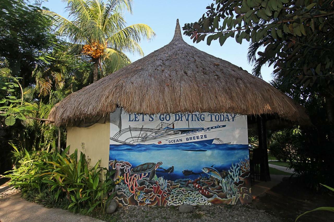 Thalatta Resort Zamboanguita  Екстер'єр фото